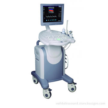 VETERINARY COLOR DOPPLER DIAGNOSTICL SYSTEM
